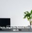 Houseplants Might Be Behind Your Sluggish Wi-Fi